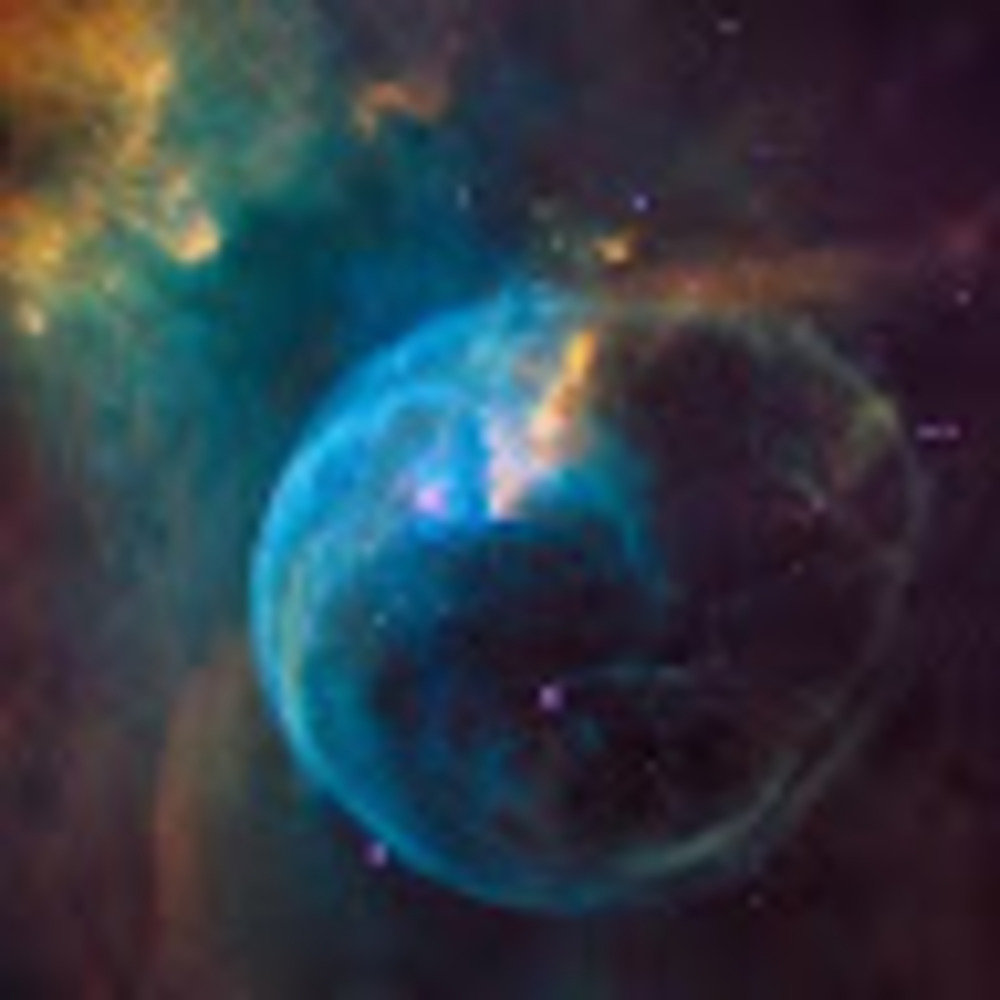 Meet your Posher, Madeleine